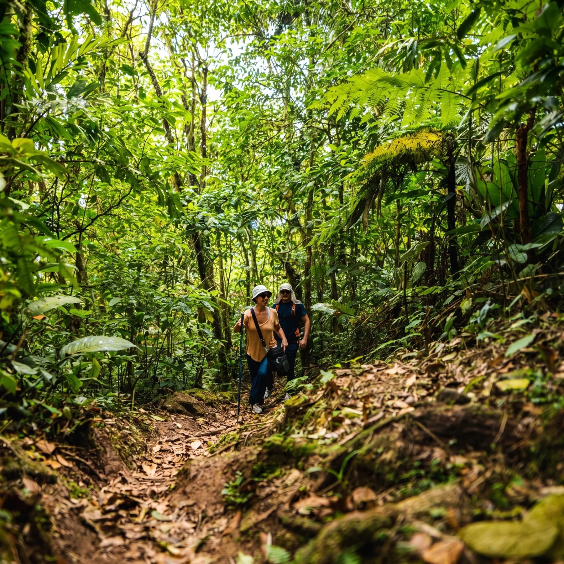 Excursionistas en un sendero del bosque en El Valle de Antón